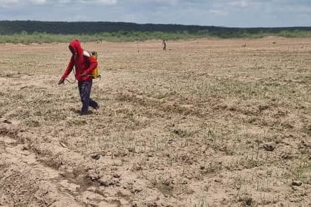 Field team at work