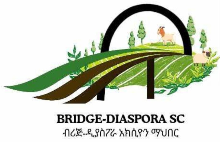 Bridge-Diaspora SC logo